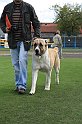 IMG_1825
