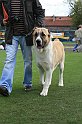 IMG_1826