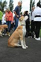 IMG_1828