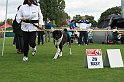 IMG_1831
