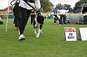 IMG_1832