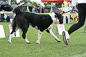 IMG_1834