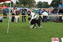 IMG_1837