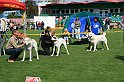 IMG_1840