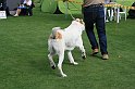 IMG_1843