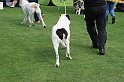 IMG_1844