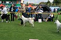 IMG_1845