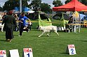 IMG_1848