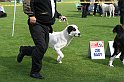 IMG_1851