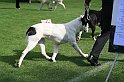 IMG_1853