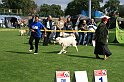 IMG_1854