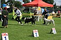 IMG_1855