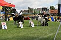 IMG_1856