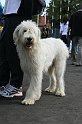 IMG_1860