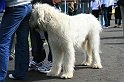 IMG_1861