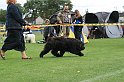 IMG_1865