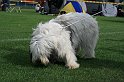 IMG_1867
