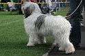 IMG_1868