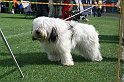 IMG_1869