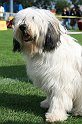 IMG_1871