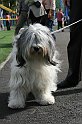 IMG_1872