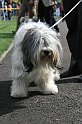 IMG_1873