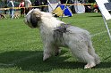 IMG_1874