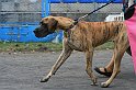 IMG_1877