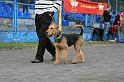 IMG_1878
