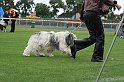 IMG_1881