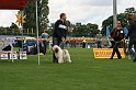 IMG_1884