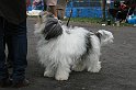 IMG_1886