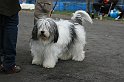 IMG_1888