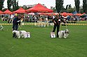 IMG_1890