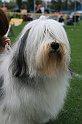 IMG_1896