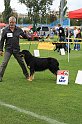 IMG_1897