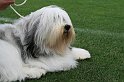 IMG_1901