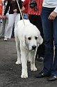 IMG_1902