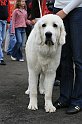 IMG_1904