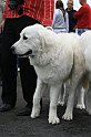 IMG_1905