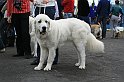IMG_1907