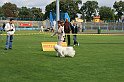 IMG_1913