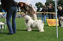 IMG_1916