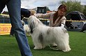IMG_1917