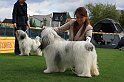 IMG_1918