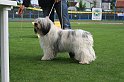 IMG_1921