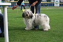 IMG_1923