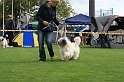 IMG_1924