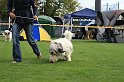 IMG_1925