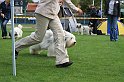 IMG_1926